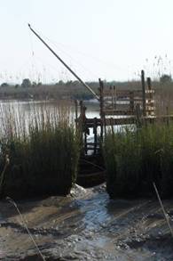 100_8015.jpg