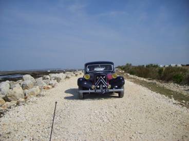 S6007513.jpg