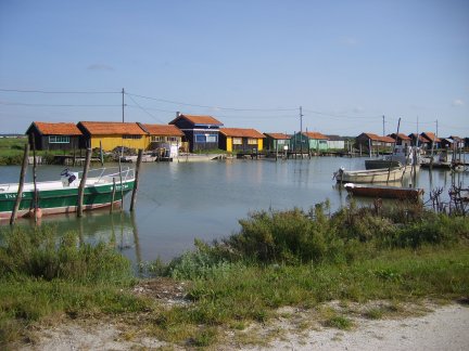 S6007585.jpg