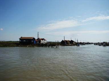 Dsc06921.jpg