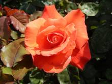 025